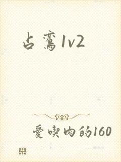 占鸾1v2