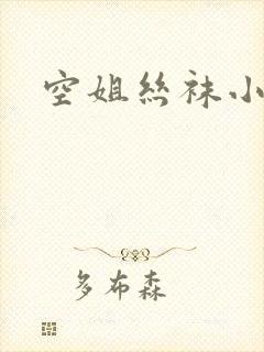 空姐丝袜小说封面