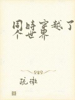 同时穿越了99个世界