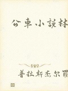 公车小说林蔓蔓