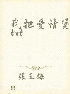 我把爱情煲成汤txt