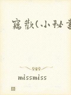窃欢(小秘书)