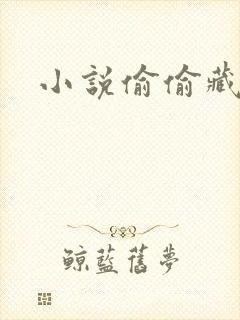 小说偷偷藏不住