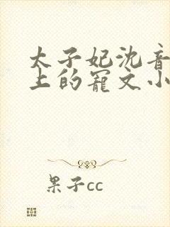 太子妃沈音和皇上的宠文小说