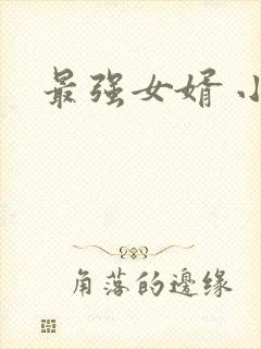 最强女婿 小说