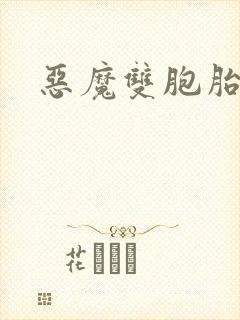 恶魔双胞胎