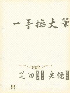 一手抚大笔趣阁封面
