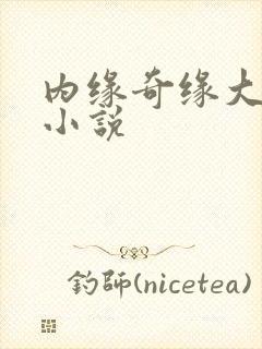 内缘奇缘大团圆小说