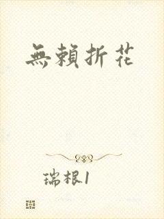 无赖折花封面