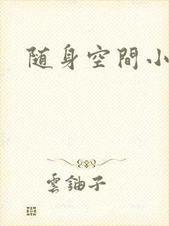 随身空间小说