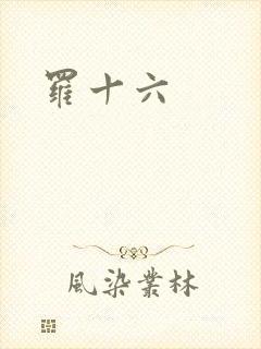 罗十六