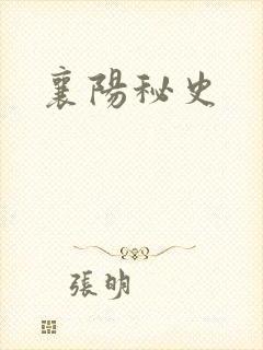 襄阳秘史