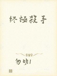 终极杀手