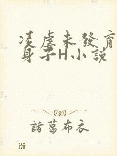 凌虐未发育的小身子H小说封面