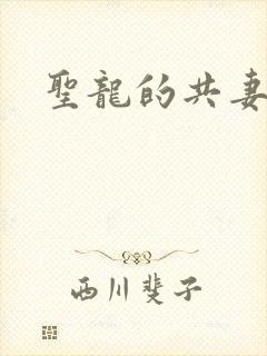 圣龙的共妻封面
