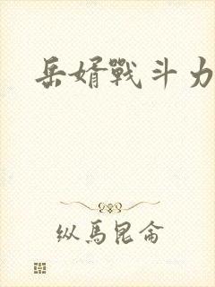 岳婿战斗力