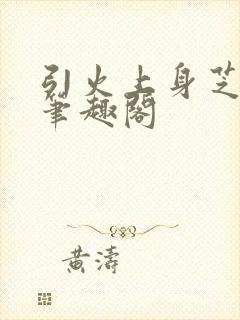 引火上身芝麻糖笔趣阁封面
