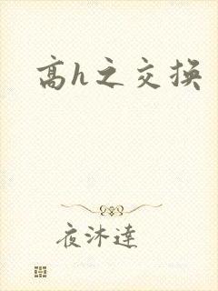 高h之交换封面