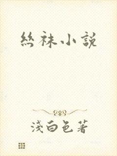 丝袜小说