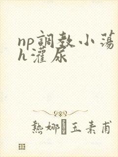 np调教小荡货h灌尿