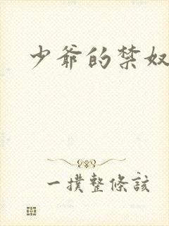 少爷的禁奴