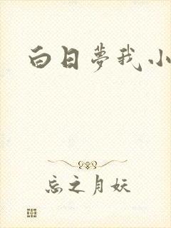 白日梦我小说