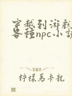 穿越到游戏里和各种npc小说