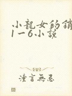 小龙女的销魂夜1一6小说封面