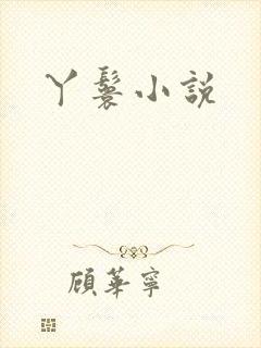 丫鬟小说