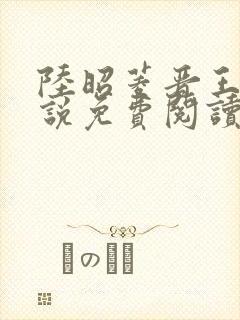 陆昭菱晋王的小说免费阅读