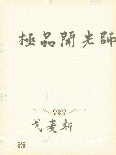 极品开光师