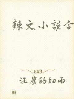 辣文小说合集