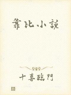 靠比小说封面