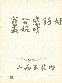 翁公您的好长呀孟婉晴封面