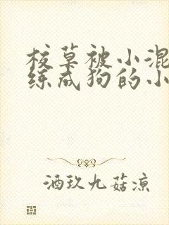 校草被小混混训练成狗的小说