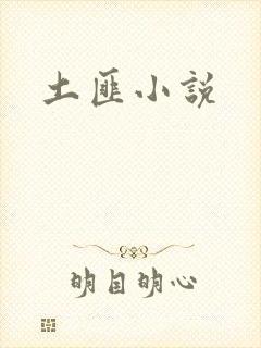 土匪小说