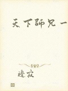 天下师兄一般黑封面