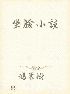 坐脸小说