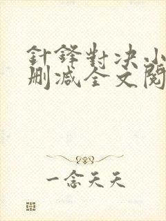 针锋对决小说未删减全文阅读