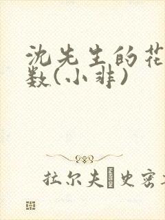沈先生的花式调数(小非)
