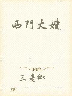 西门大嫂封面