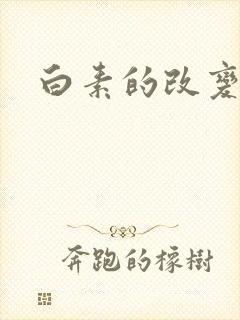 白素的改变