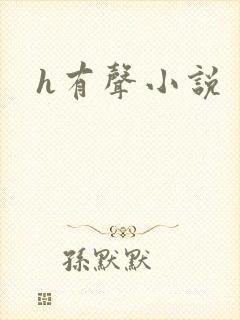 h有声小说