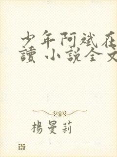 少年阿斌在线阅读 小说全文免费封面