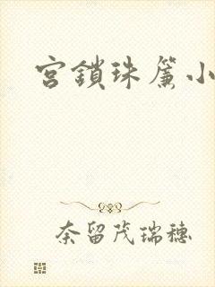 宫锁珠帘小说