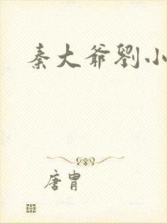 秦大爷刘小静