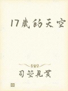 17岁的天空