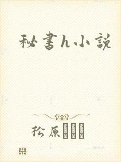 秘书h小说