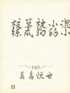校草被小混混训练成狗的小说封面