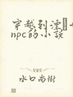穿越到湮婸世界npc的小说